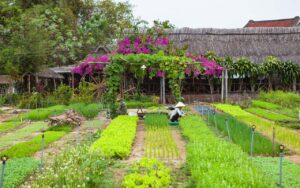 Que fait aux alentours de Hoi An en une journée ?