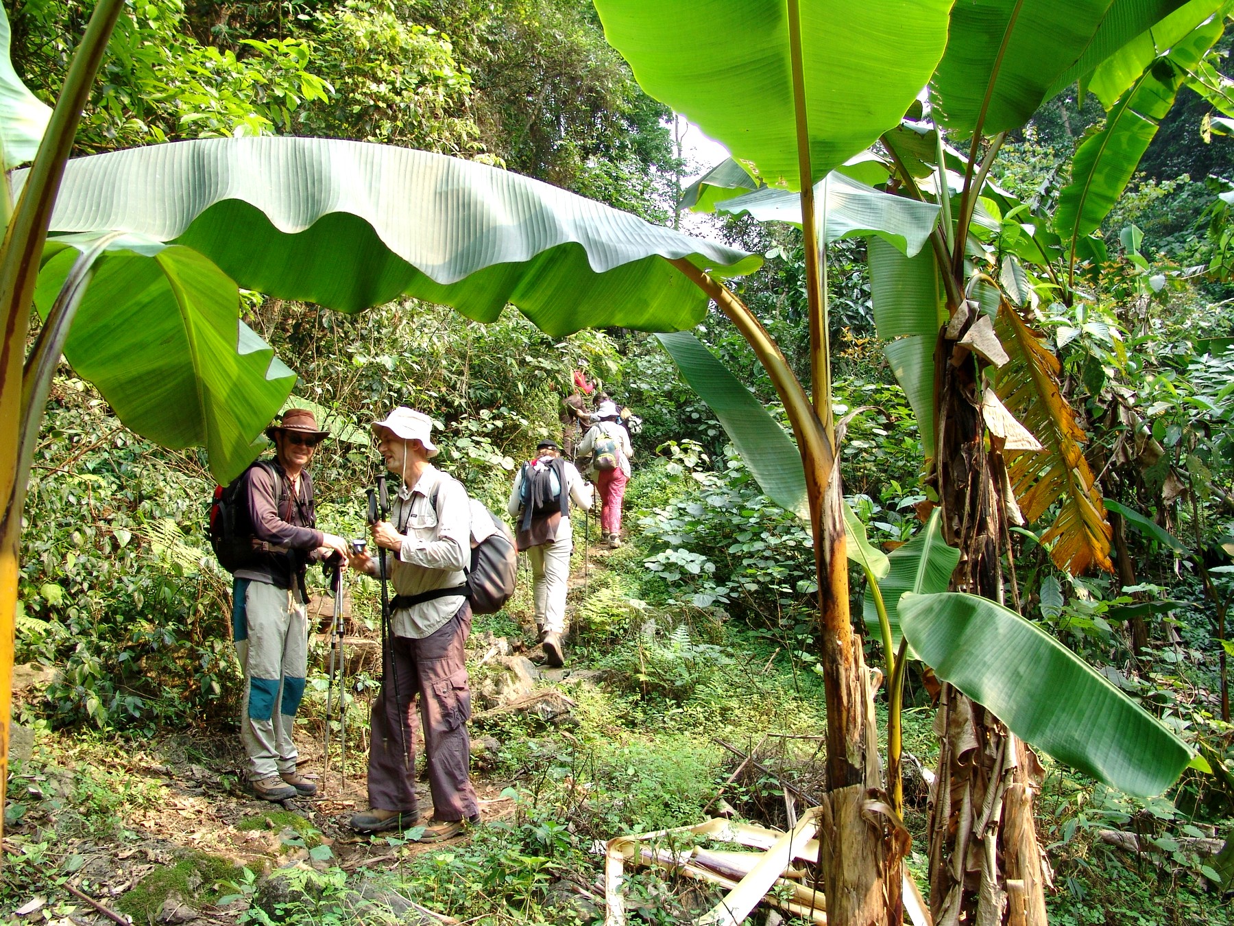 Trekking au Vietnam