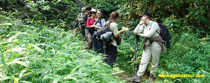 Trekking au Vietnam (4 jours à Cao Bang)