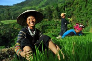 Trekking au Vietnam – Découvrez les merveilles naturelles et culturelles du pays