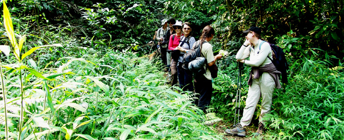 Trekking Vietnam (6 jours à Ha Giang)