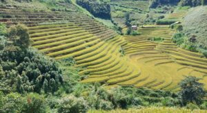 Voyage au Nord Vietnam Mr Jean-Noël et Mme Colette – Jour 5