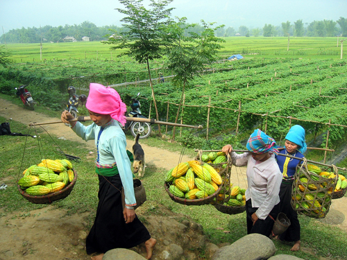 Vietnam authentique 9 jours