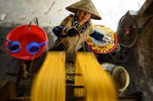 Les villages de métiers célèbres du vietnam aux médias internationaux