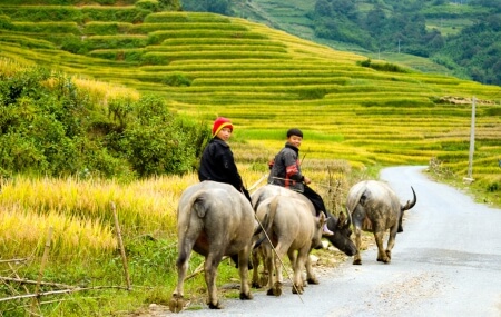 Voyage au Vietnam à travers le pays du dragon 21 jours