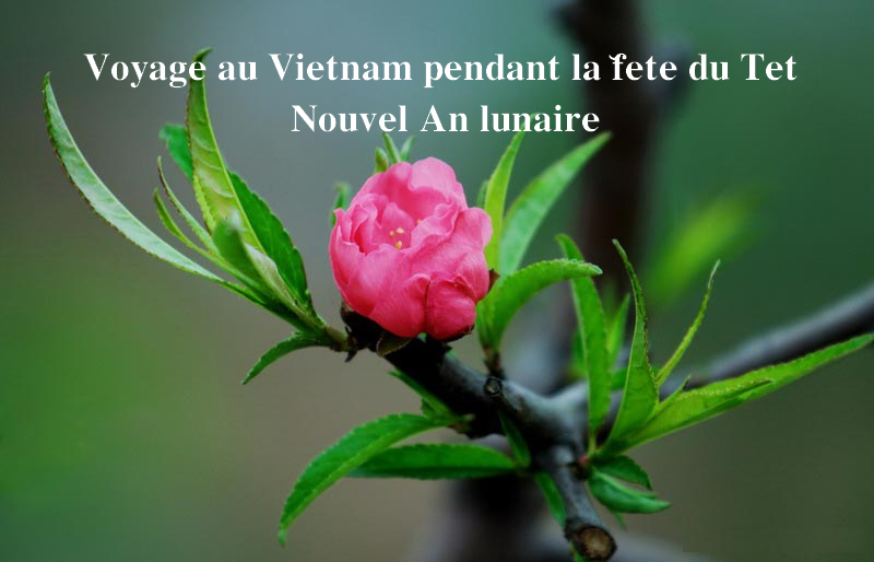 Voyage au Vietnam pendant la fête du Têt, Nouvel An lunaire