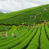 Voyage du Nord au Sud Vietnam du groupe de madame (Jacqueline Calmels – 5 personnes)