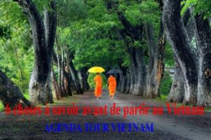 6 choses à savoir avant de partir au Vietnam