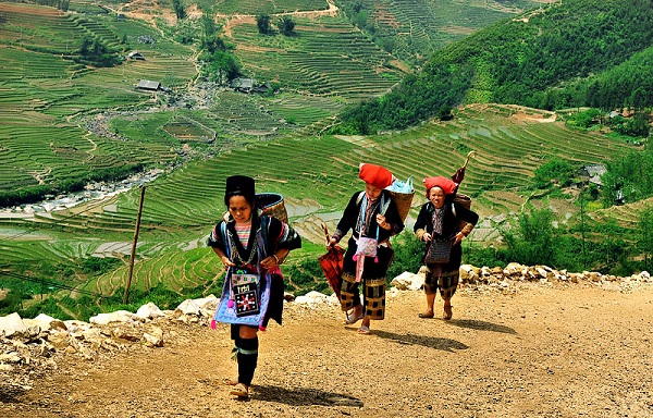 Voyages au Nord Vietnam