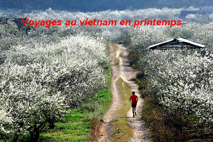 Voyages au Vietnam en printemps