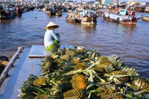 VOYAGES VIETNAM EN BONNE SAISON: MOIS OCTOBRE – NOVEMBRE – DECEMBRE – JANVIER – FÉVRIER – MARS – AVRIL