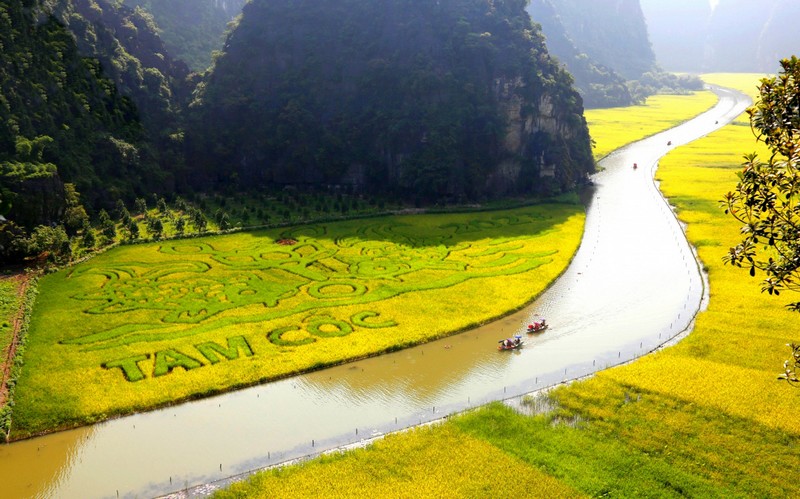 Tam Coc ou Trang An : quelle balade choisir à Ninh Binh