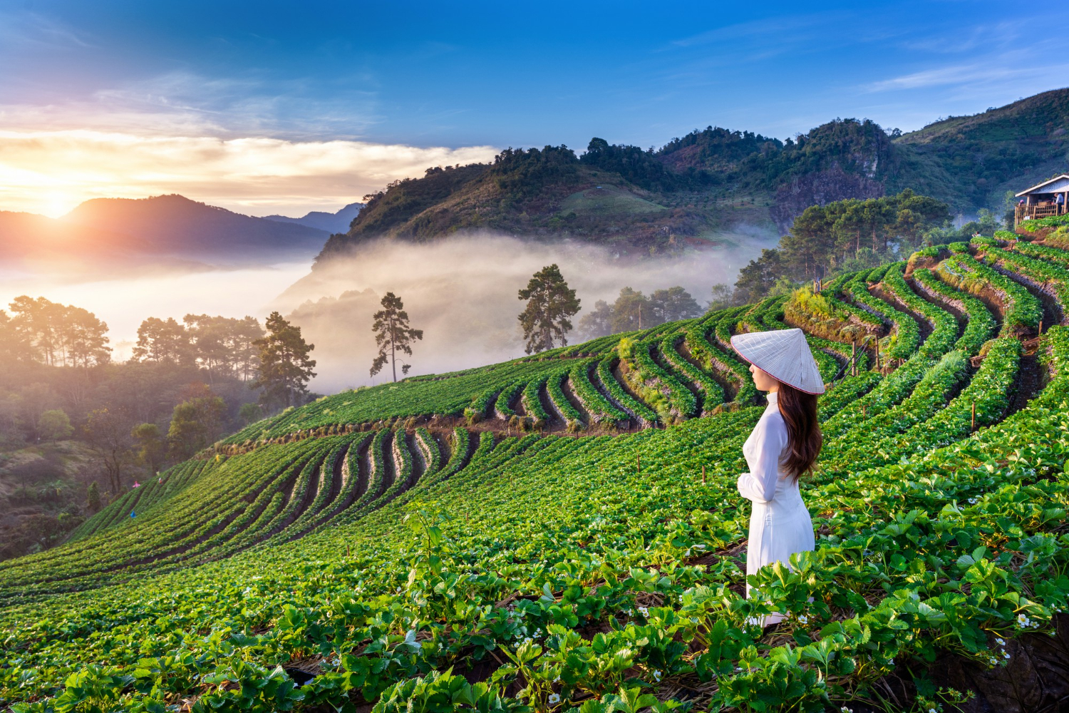  Budget voyage Vietnam par jour
