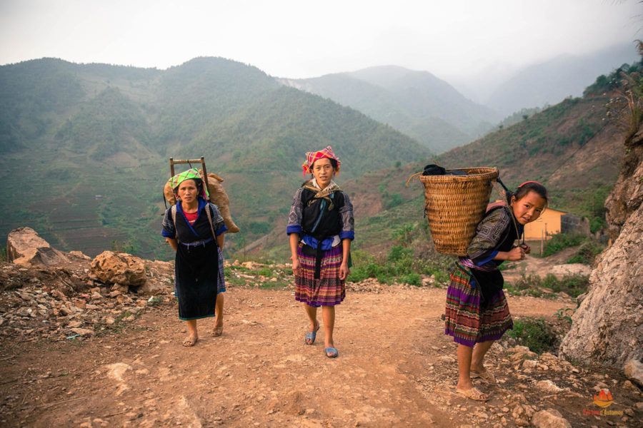 Ethnie Hmong: Un Trésor Culturel Fascinant Au Coeur de l’Asie du Sud-Est