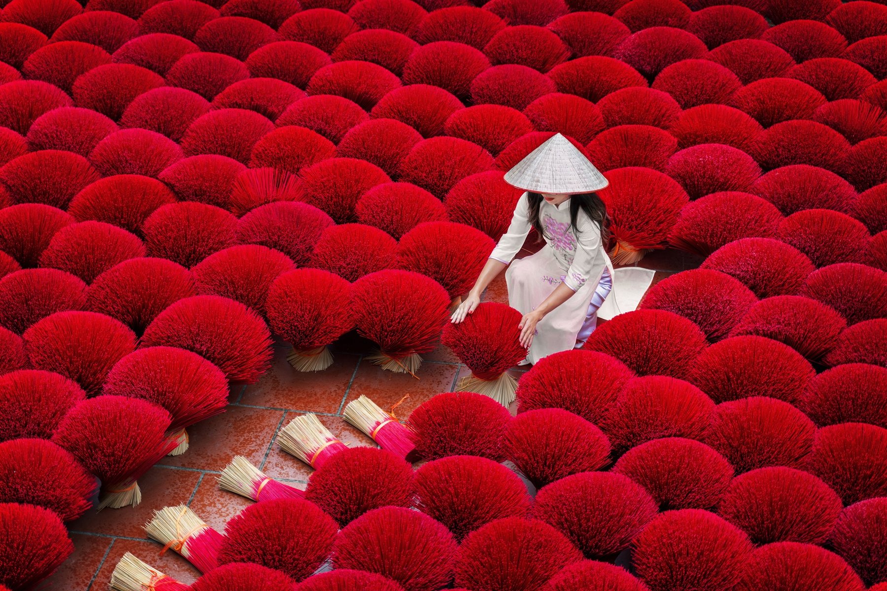 Vietnam ou Thaïlande Quelle destination choisir et pourquoi ? – Un guide complet pour faire le bon choix