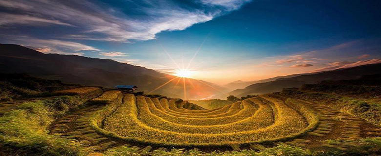 Vietnam ou Thaïlande Quelle destination choisir et pourquoi ? – Un guide complet pour faire le bon choix