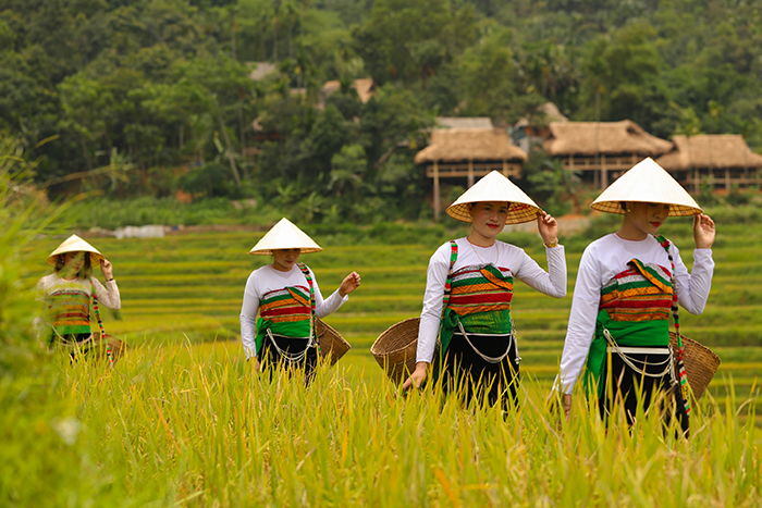 Vietnam en 10 jours | Que faire et voir ? Où aller ? Découvrez les incontournables !