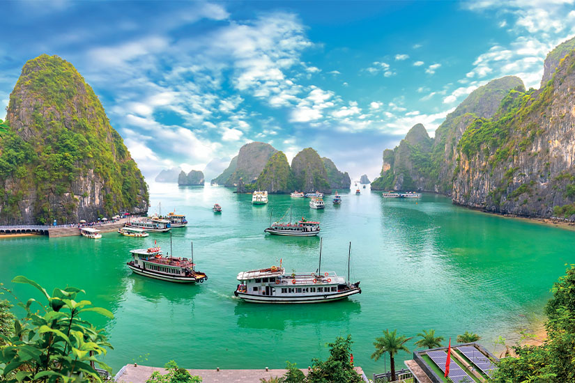 Pourquoi les Belges aiment Voyager au Vietnam - Un voyage entre traditions, paysages et hospitalité