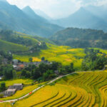 Pourquoi les Belges aiment Voyager au Vietnam