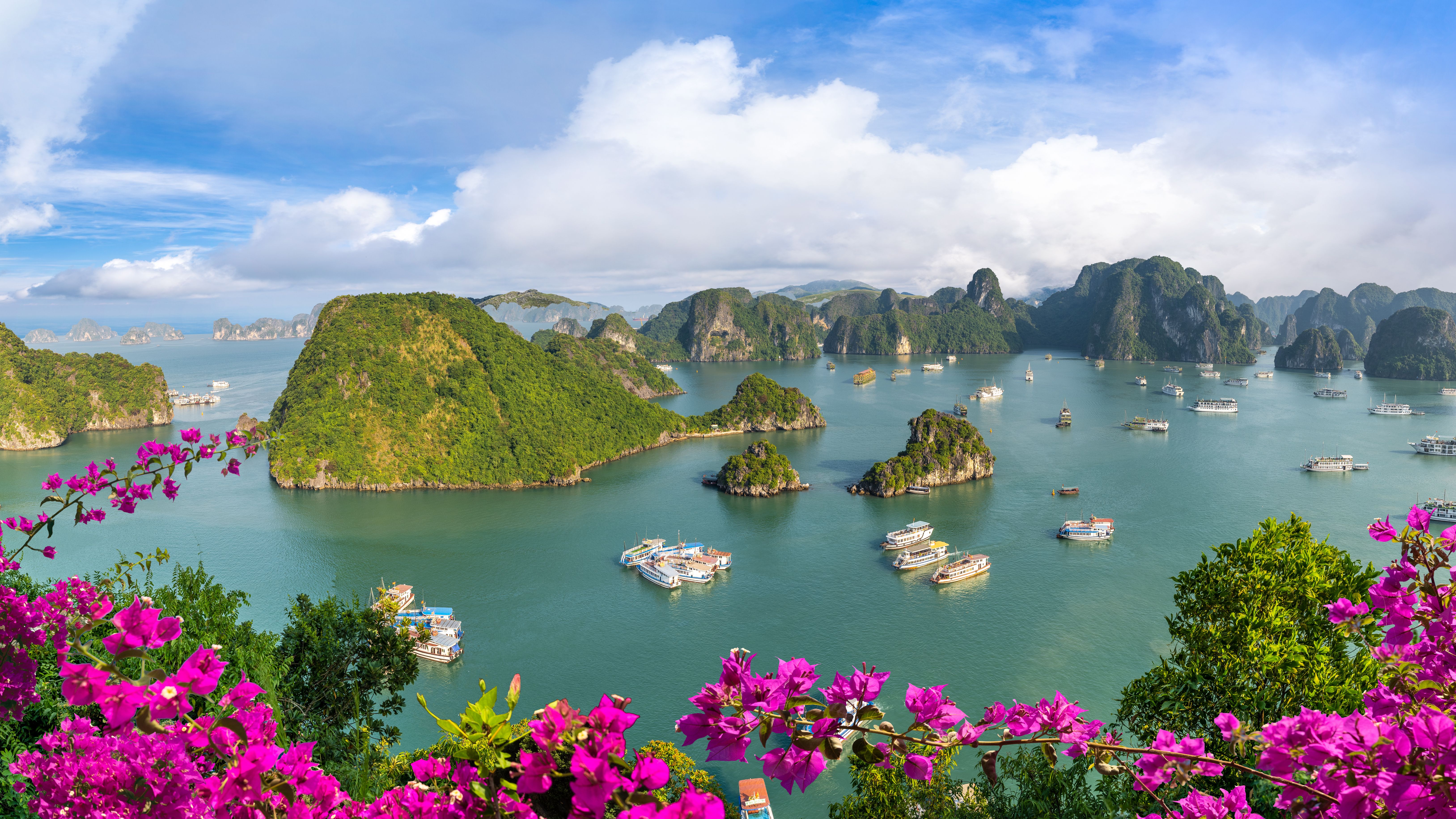 Faites attention si vous avez le projet du voyage au vietnam cette année — conseils et perspective
