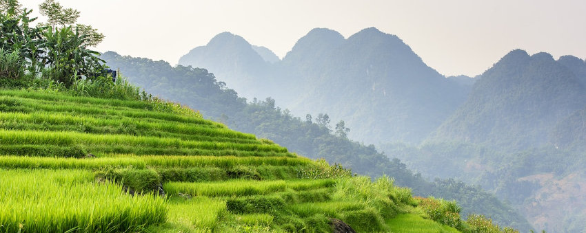 Les annarques sur voyage Vietnam et Comment les évitez vous ? Découvrez nos conseils essentiels
