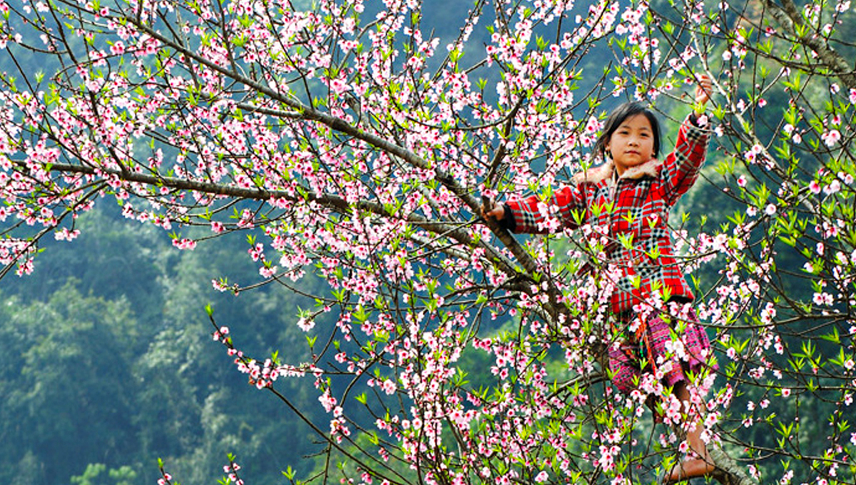 3 circuits de 10 à 15 jours au Nord Vietnam conseillés