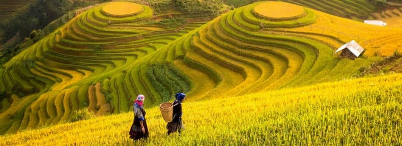 3 circuits de 10 à 15 jours au Nord Vietnam conseillés