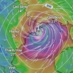Typhon au Vietnam | agence voyage Vietnam Quelle est la période de typhon au Vietnam ? Découvrez les mois de risque et de préparation