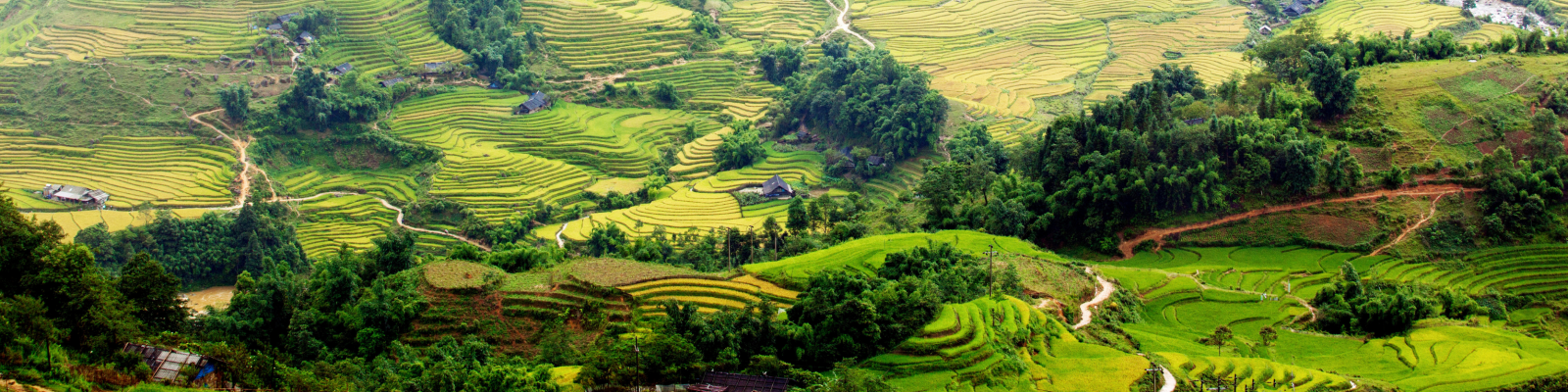 Quel est le prix d'un voyage au Vietnam Quel est le prix d'un voyage au Vietnam