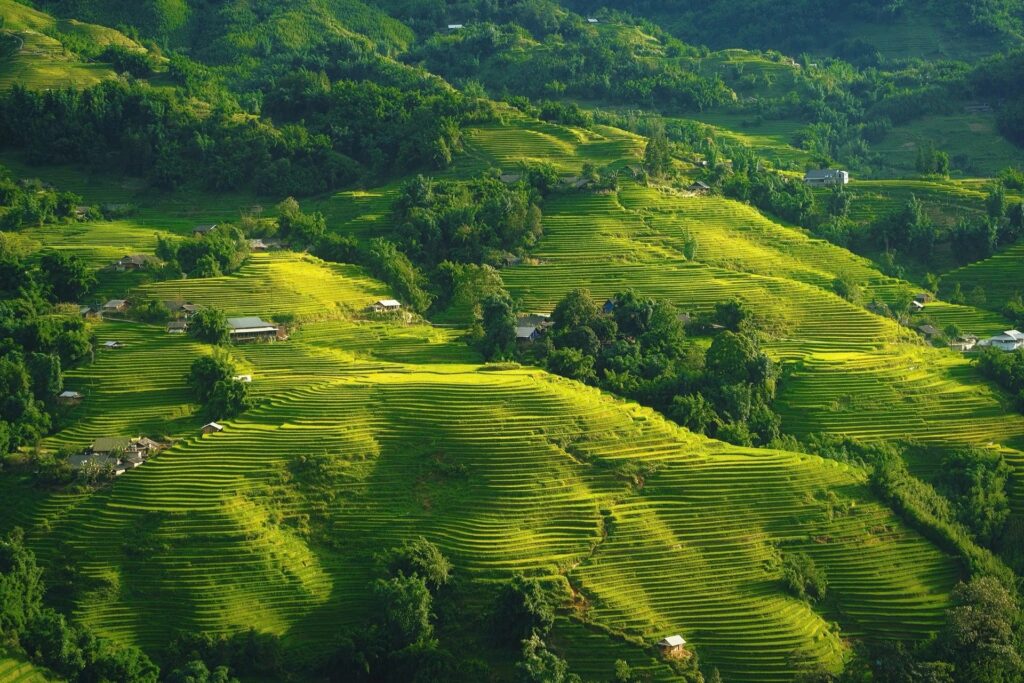 rizieres 6 - agence de voyage Vietnam Laos Cambodge
