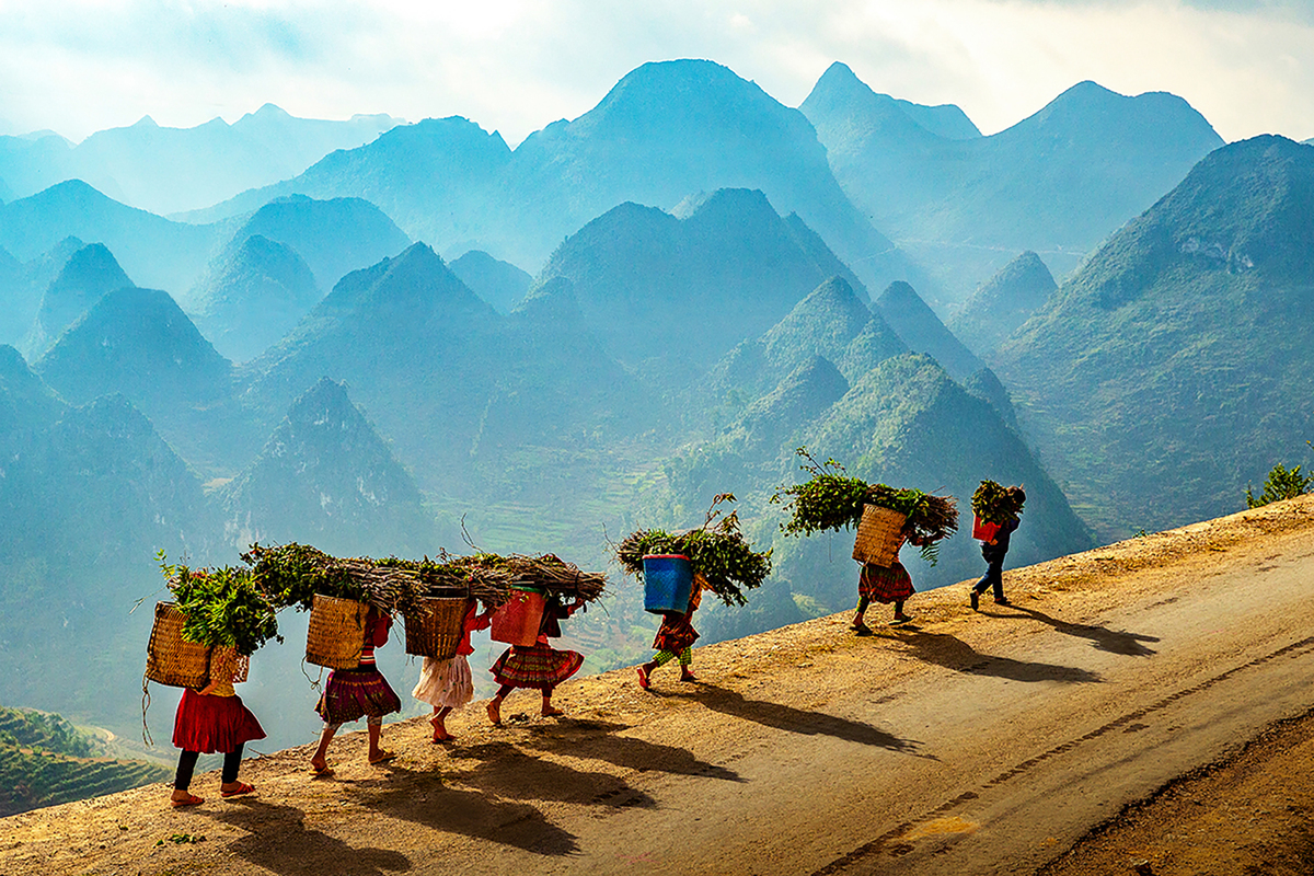 Sapa ou Ha Giang - Deux trésors du Nord Vietnam entre montagnes et cultures