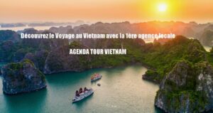 Découvrez le Voyage au Vietnam