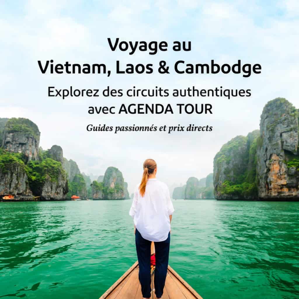 Femme regardant la baie d'Along au Vietnam, paysage emblématique.