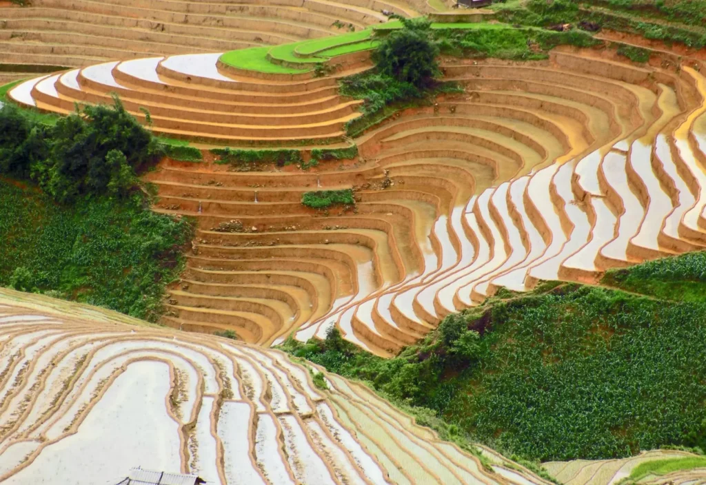 GUIDE DE VOYAGE VIETNAM | agence voyage Vietnam GUIDE DE VOYAGE VIETNAM - agence de voyage Vietnam Laos Cambodge