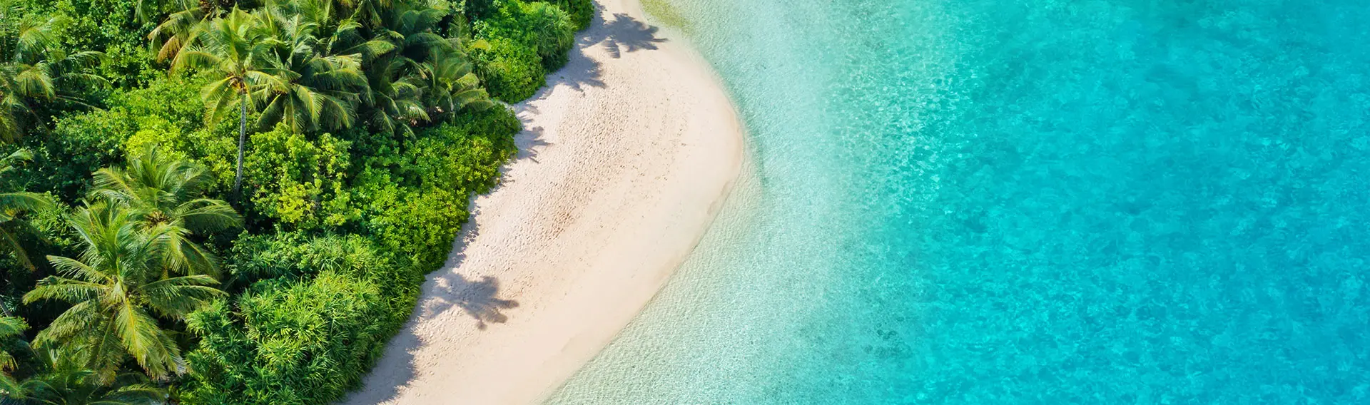 nous-contacter agence locale au Vietnam