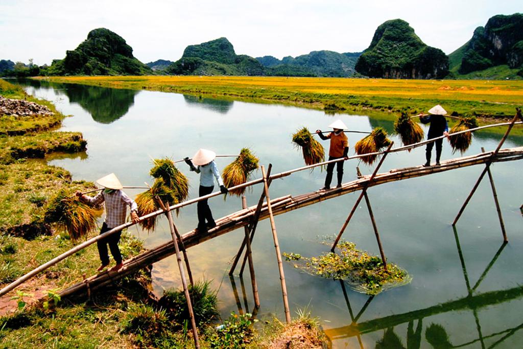 Voyage organisé ou sur mesure au Vietnam