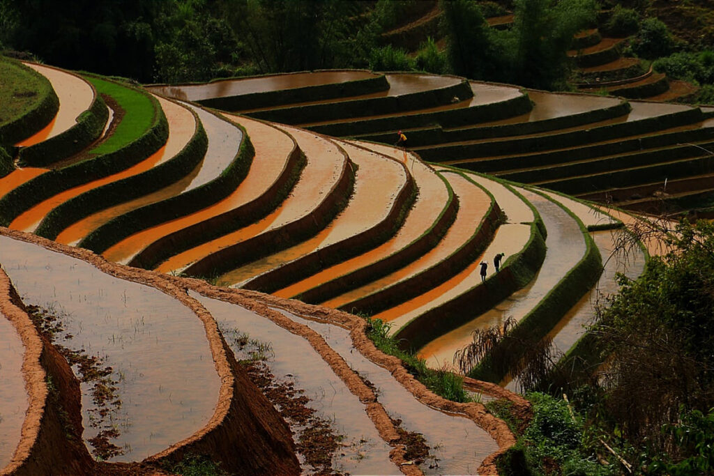 Rizieres 5 | agence voyage Vietnam Voyage organisé ou sur mesure au Vietnam