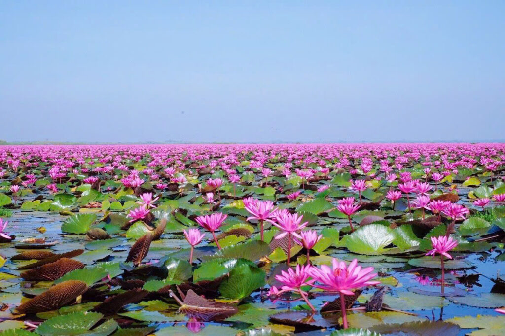 Prix voyage Vietnam par personne