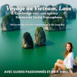 Pourquoi Choisir une Agence Locale au Vietnam