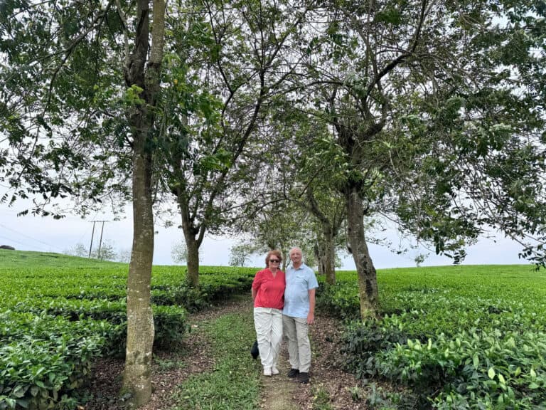 Balade dans la nature au Vietnam, avec un couple sous un arbre, entouré de champs verts, pour une ex.