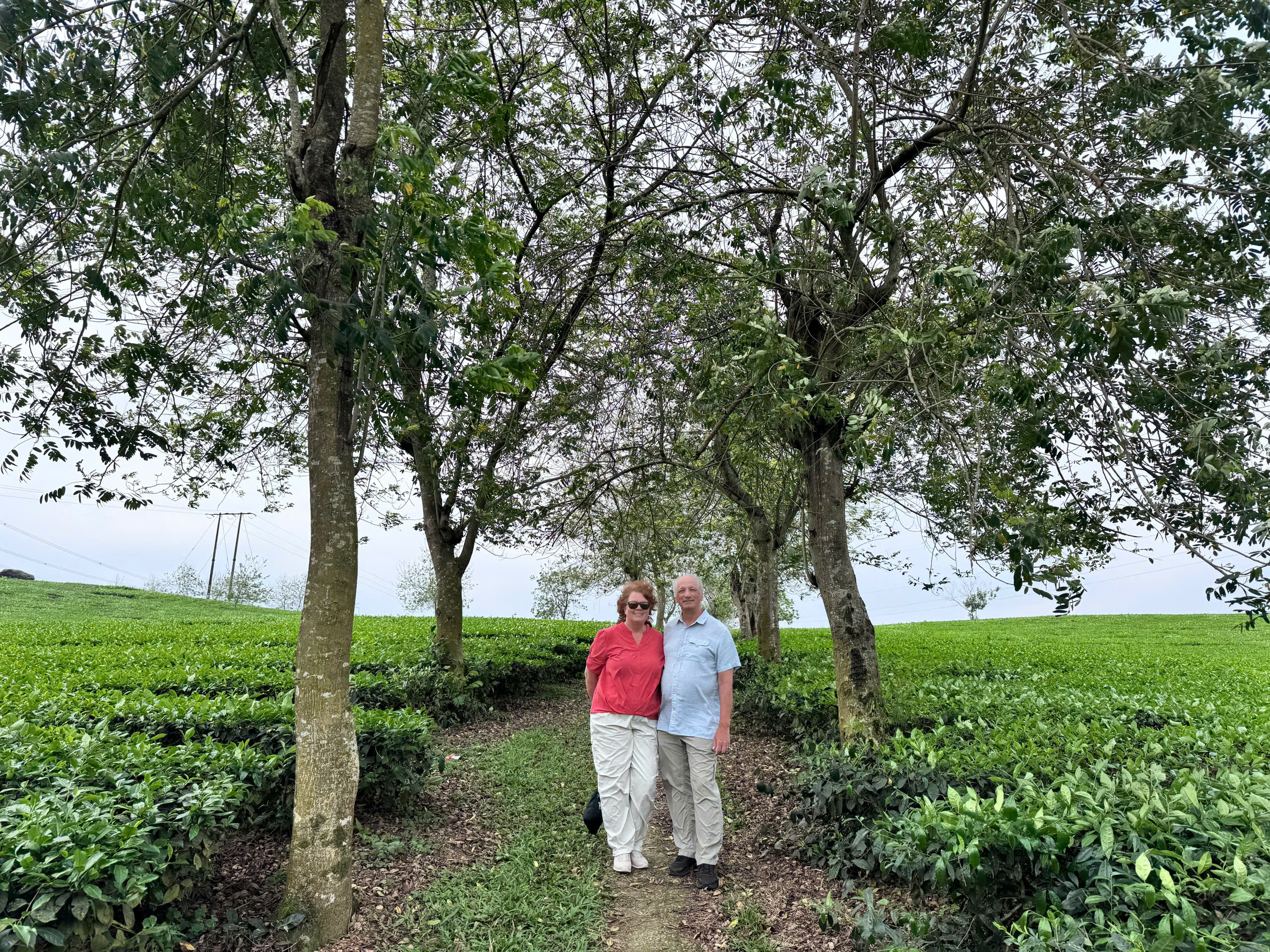 Agence locale au Vietnam Francophone 91 | agence locale Vietnam Agenda Tour Agence locale au Vietnam Francophone 91 - agence locale voyage Vietnam Laos Cambodge -Agenda Tour