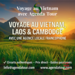 Pourquoi Choisir une Agence Locale au Vietnam