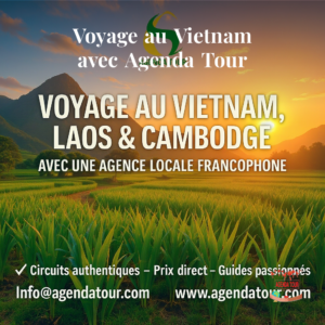 Pourquoi Choisir une Agence Locale au Vietnam