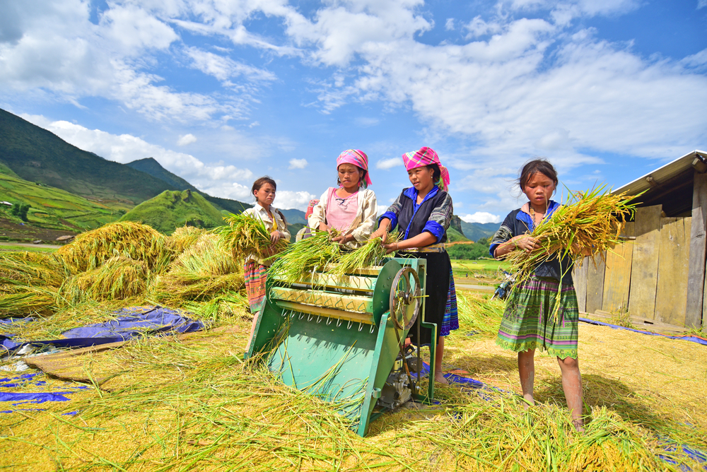  Agence Locale Vietnam Avis : Décryptage et Analyse Complète
