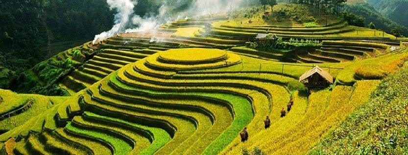  Pourquoi Choisir une Agence Locale au Vietnam: Un Guide Complet