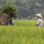 Quelles erreurs faut-il éviter au Vietnam ?