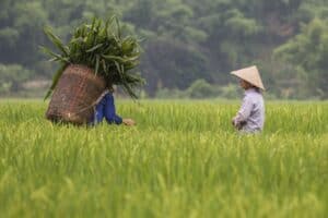 Quelles erreurs faut-il éviter au Vietnam ?