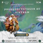 Pourquoi voyager au Vietnam- Agence locale