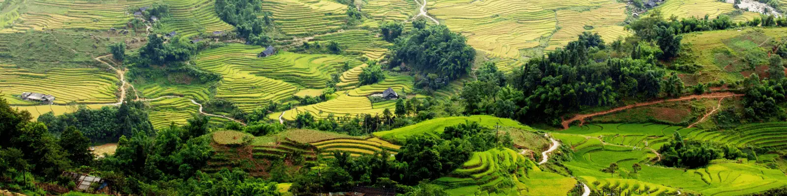 voyager au Vietnam Pourquoi voyager au Vietnam - Un voyage inoubliable à travers un pays aux mille facettes