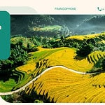 Agence locale Vietnam : tendances du tourisme Vietnam